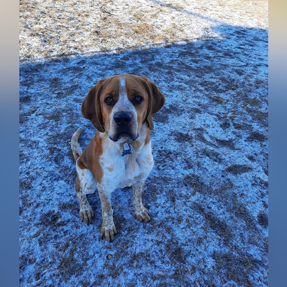 Meet your Posher, Jenelle - Picture 2 of 2